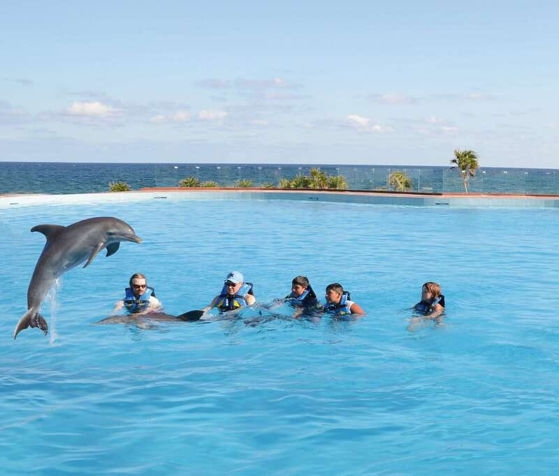 Akumal: Dolphin Encounter - Where Akumal Dolphin Encounters Fit in Quintana Roo