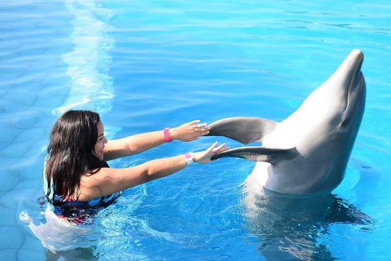 Akumal: Dolphin Encounter - What to Bring (and What to Confirm) Before You Arrive