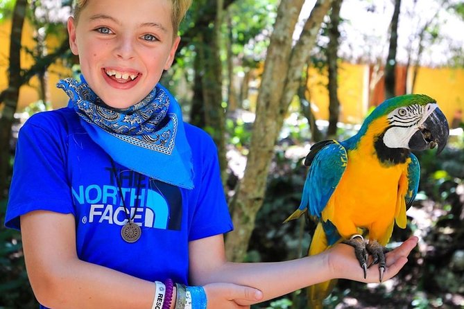 Akumal Monkey Sanctuary - Monkey Bonding: What It Feels Like and Who It Suits