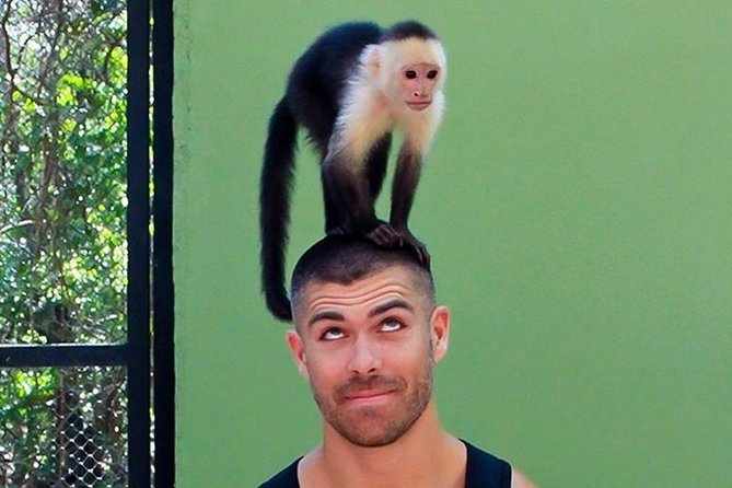 Akumal Monkey Sanctuary - Comfort Tips That Make the Whole Day Go Better