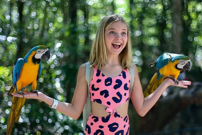 Akumal Monkey Sanctuary - Getting There From Playa del Carmen and Tulum, Plus the Cancun Note