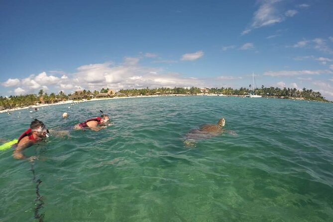 Akumal turtles sanctuary and go pro photos - Meeting point and beach access: getting set up fast