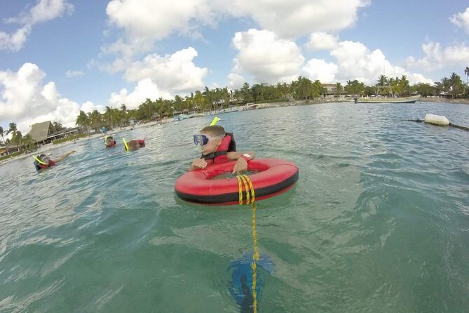 Akumal turtles sanctuary and go pro photos - What wildlife you might see, and why sightings vary