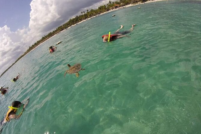 Akumal turtles sanctuary and go pro photos - The GoPro-style photo shoot: why it’s worth paying for