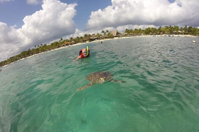 Akumal turtles sanctuary and go pro photos - Price and value: where the $40 really goes