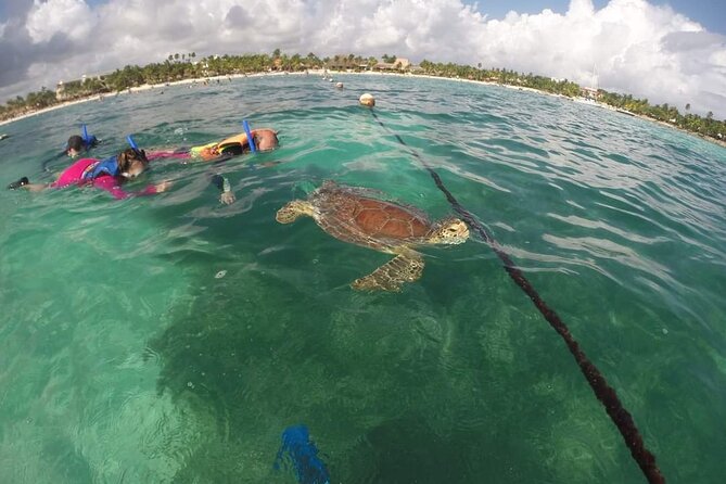 Akumal turtles sanctuary and go pro photos - Lockers and deposits: the small cash items to plan for
