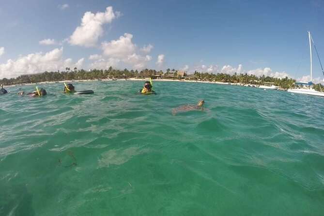 Akumal turtles sanctuary and go pro photos - Guide experience: what good guiding actually looks like
