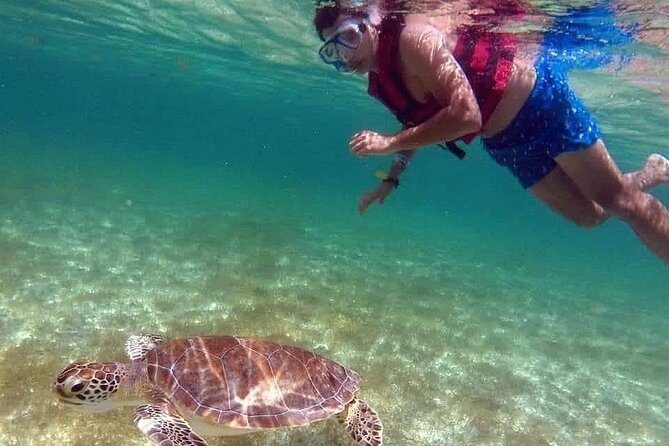 Akumal Turtles Snorkeling and GoPro pictures - Fitness and water confidence: when the current matters