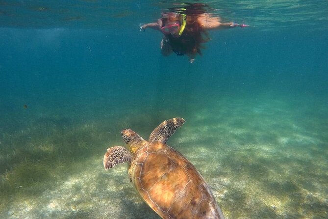 Akumal Turtles Snorkeling and GoPro pictures - What you actually do in the water to spot turtles (and avoid frustration)
