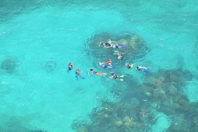 All Inclusive Caribbean adventure, reef snorkeling, Food & Drinks - Isla Mujeres beach club buffet: the lunch break that actually matters
