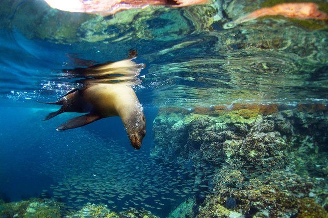 All-Inclusive catamaran Espiritu Santo Island Tour from Los Cabos - Espiritu Santo by catamaran: how the whole day flows