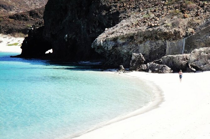 All-Inclusive catamaran Espiritu Santo Island Tour from Los Cabos - Espiritu Santo island time: snorkeling, sea lions, and shoreline breaks
