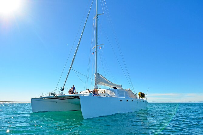 All-Inclusive catamaran Espiritu Santo Island Tour from Los Cabos - Price and value from Los Cabos: is $458.20 worth it?