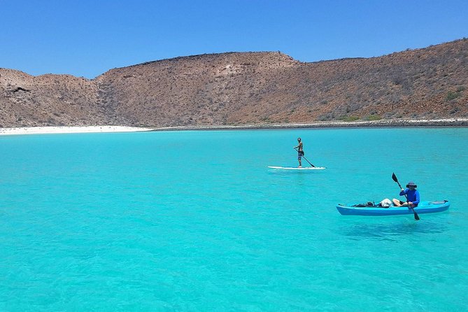 All-Inclusive Catamaran Tour | Beaches & Sea Lions from Los Cabos - Food and Drinks: Organic Lunch Plus an Open Bar Rhythm