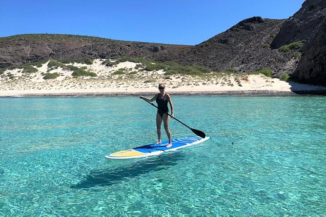 All-Inclusive Catamaran Tour | Beaches & Sea Lions from Los Cabos - Sea Lions Up Close: What to Expect from the Skiff Process