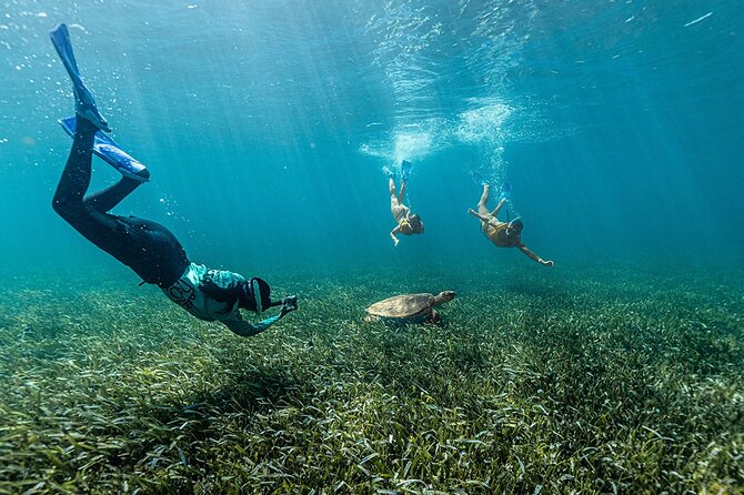 All-Inclusive Isla Mujeres Catamaran with Free Transportation - Stop 1: snorkeling-ready vibes at Oceanix and El Meco setup