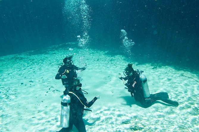 Amazing beginner dive in Tulum cenote (or refresher dive) - What Happens Before You Go Under: Gear Check and Safety Briefing