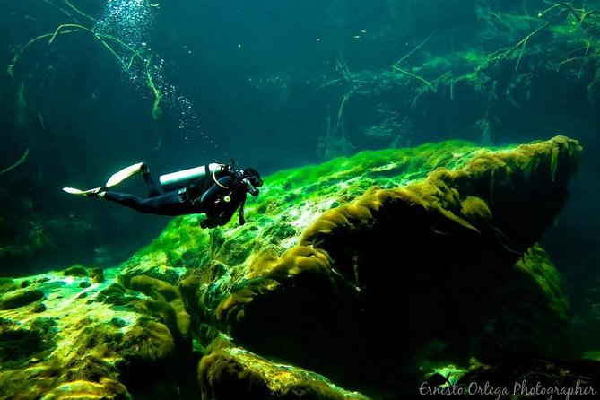 Amazing beginner dive in Tulum cenote (or refresher dive) - Shallow-Water Practice First, Then Your Cenote Underwater Session
