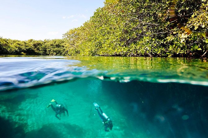 Amazing beginner dive in Tulum cenote (or refresher dive) - Price and Value: Is $140 Fair for This Half-Day Setup?