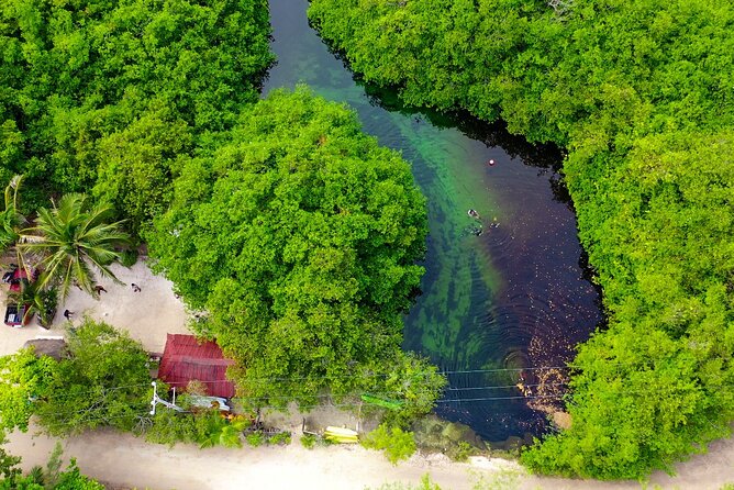 Amazing beginner dive in Tulum cenote (or refresher dive) - Who Should Book This Cenote Scuba Session (and Who Might Skip It)