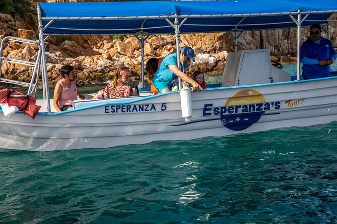 Arch Views & Snorkeling Paradise at Chileno Beach Private tour - Boxed lunch, plus the small value details that affect your day