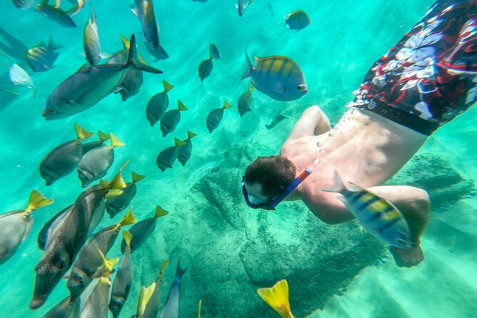 Arch Views & Snorkeling Paradise at Chileno Beach Private tour - Drivers and guide energy: what “private” really changes