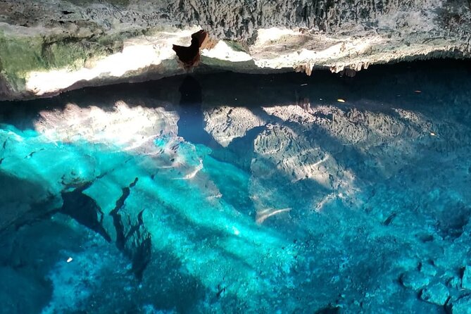 Archaeological Tour in Tulum and Coba with Kuxtal Cenote - Coba plus Kuxtal cenote: your best payoff in the water