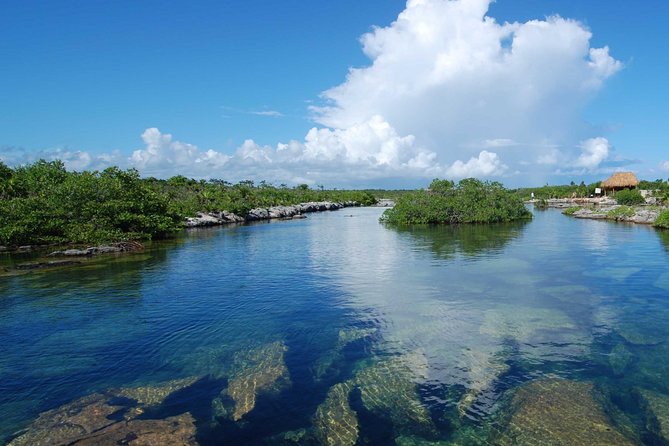 ATV Extreme and Snorkel Adventure from the Riviera Maya - Why this combo tour works in Riviera Maya