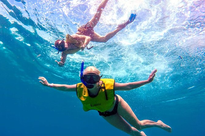 ATV Mud Kicking and Snorkeling by Boat in Cozumel - Boat snorkeling inside the National Marine Park: how to make it count