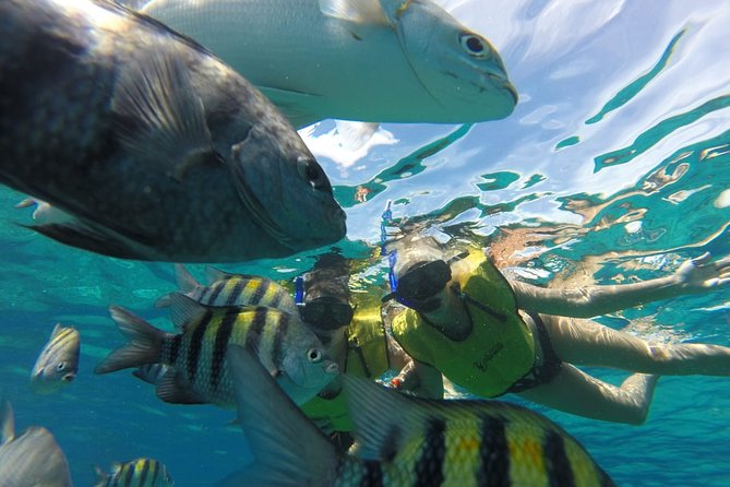 ATV Mud Kicking and Snorkeling by Boat in Cozumel - Price and value: what $99.99 really covers (and what costs extra)