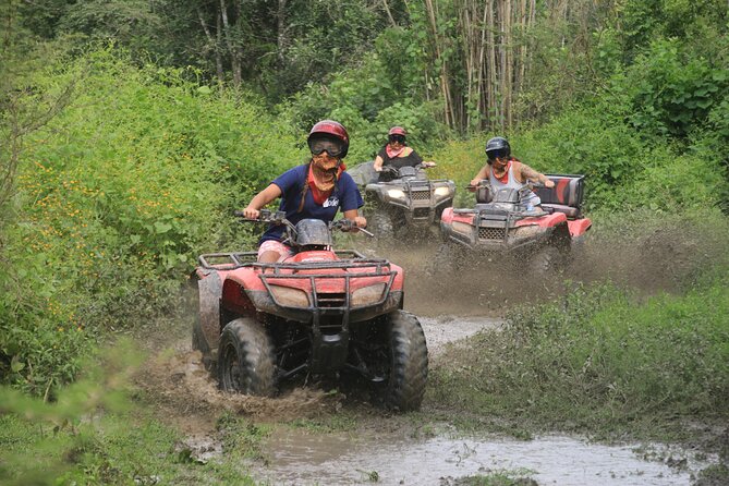 ATV OR RZR- Escape to the mountains for 4 hours - Four Hours in the Sierra Madre: ATV or RZR Freedom