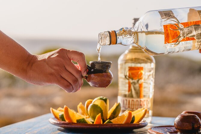 ATV Tour, Camel Ride, Tequila Tasting and Mexican Buffet Lunch - Key things that make this tour worth your time