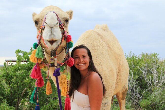 ATV Tour, Camel Ride, Tequila Tasting and Mexican Buffet Lunch - Entering Cabo Adventures at Tierra Sagrada