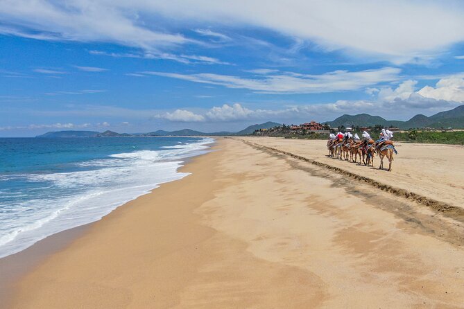 ATV Tour, Camel Ride, Tequila Tasting and Mexican Buffet Lunch - Camel beach ride: cool photos, real comfort limits, and phone rules