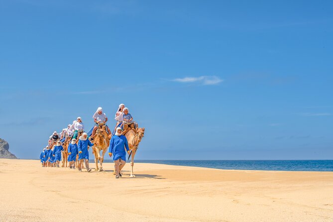 ATV Tour, Camel Ride, Tequila Tasting and Mexican Buffet Lunch - Cost reality check: base price versus check-in fees and photos