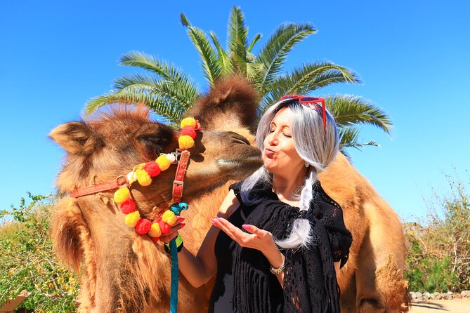ATV Tour, Camel Ride, Tequila Tasting and Mexican Buffet Lunch - Guides, small-group energy, and how they manage different rider levels