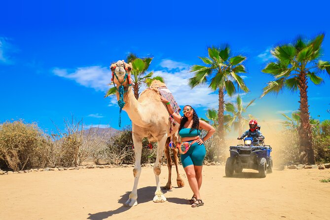 ATV Tour, Camel Ride, Tequila Tasting and Mexican Buffet Lunch - ATV ride in the Cabo desert: automatic bikes and how fast it feels