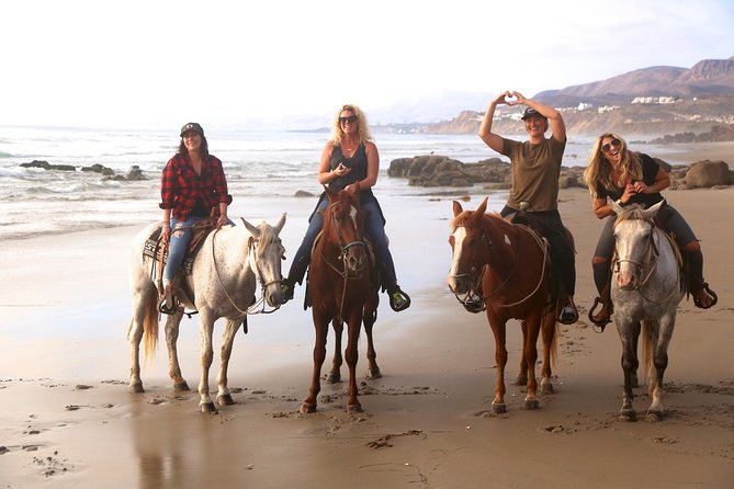 Authentic horseback riding in beautiful La Mision - Back at the Ranch: Taquito and the Animal Encounter Moment