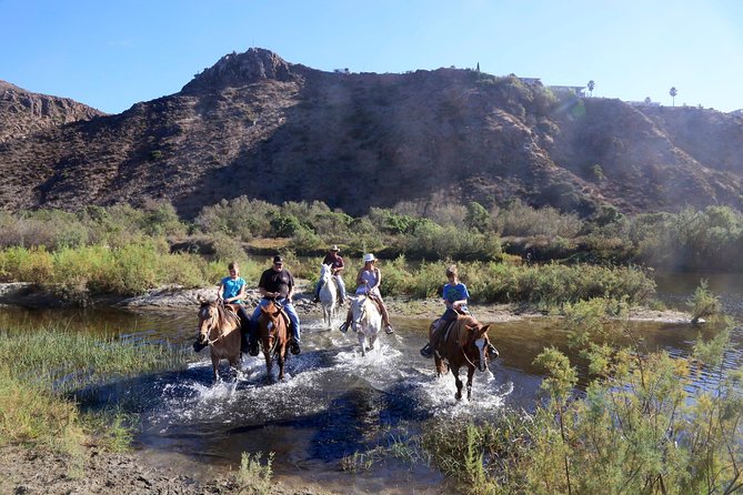 Authentic horseback riding in beautiful La Mision - Value for Money: Why This Is Often Better Than Ship Excursions