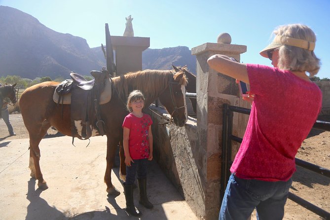 Authentic horseback riding in beautiful La Mision - Who This Tour Fits Best, and Who Should Rethink It
