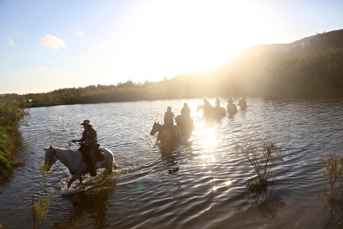 Authentic horseback riding in beautiful La Mision - The La Mision Estuary Start: Birds, River Rhythm, and Calm Riding
