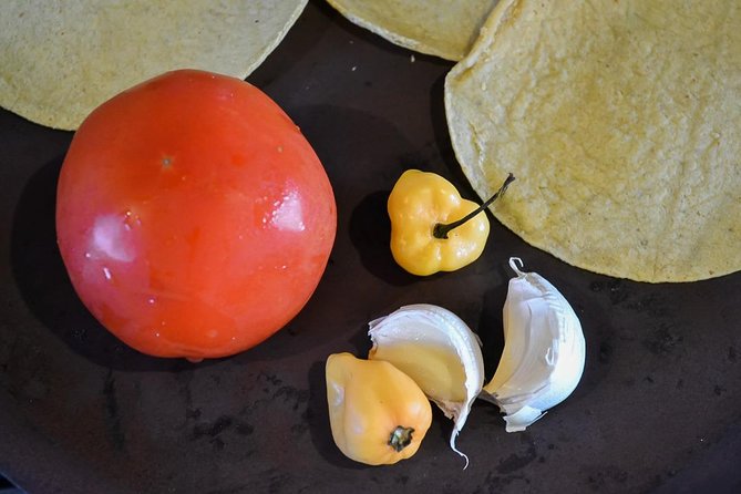 Authentic Mexican Cooking Class in Playa del Carmen - Price and Value: Is $120 Worth It?