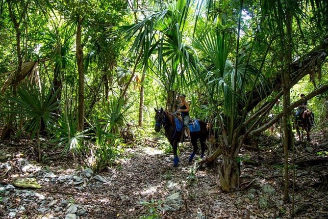 Award-winning Classic Horseback Ride (max. 6 riders) - Should you book Rancho Baaxal’s classic horseback ride?