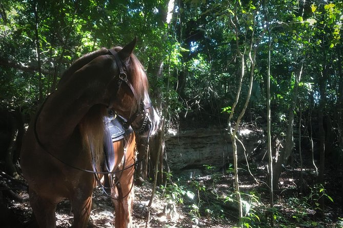Award-winning Classic Horseback Ride (max. 6 riders) - The ranch start: waivers, helmets, repellent, and horse matching