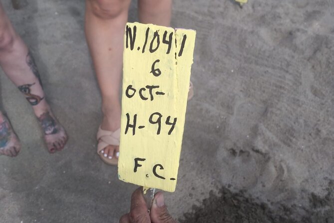 Baby Sea Turtle Releasing Sightseeing Tour with Luis de la Maza - Getting There: The Zihuatanejo to Juluchuca Turnoff