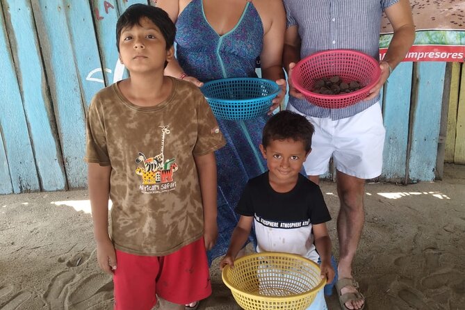 Baby Sea Turtle Releasing Sightseeing Tour with Luis de la Maza - The Release: Carrying Them to Wet Sand and Watching the Sprint