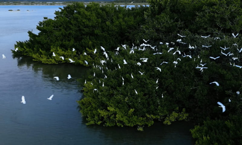 Bacalar: Lagoon, Pirate Canal, Stromatolite Day Trip w/Lunch - San Felipe Fort, history time with a practical viewpoint