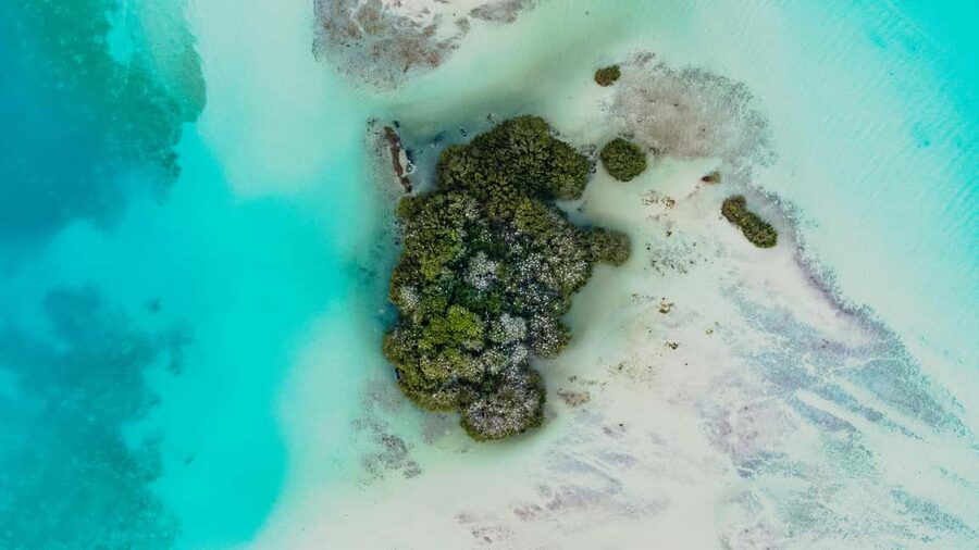Bacalar Lagoon Sailing Tour with Open Bar and Mexican Lunch - Price and Value: Is $78 for 5 Hours Actually Fair?