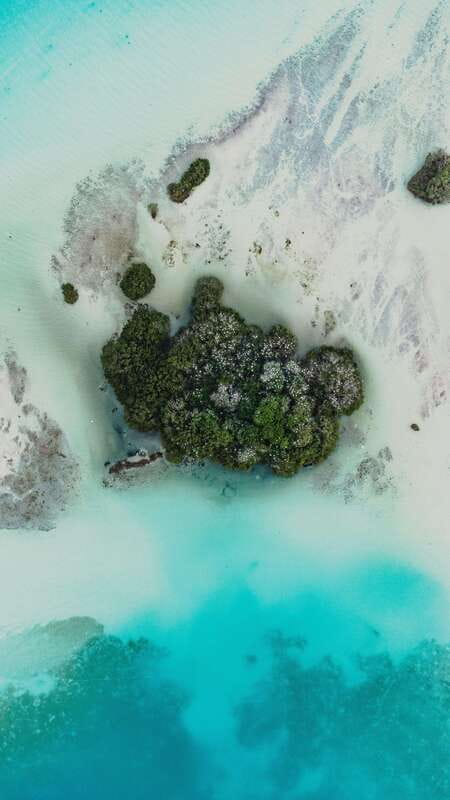 Bacalar Lagoon Sightseeing Boat Tour with Open Bar & Snack - Cenote Cocalitos: short, guided time plus a chance to notice the water