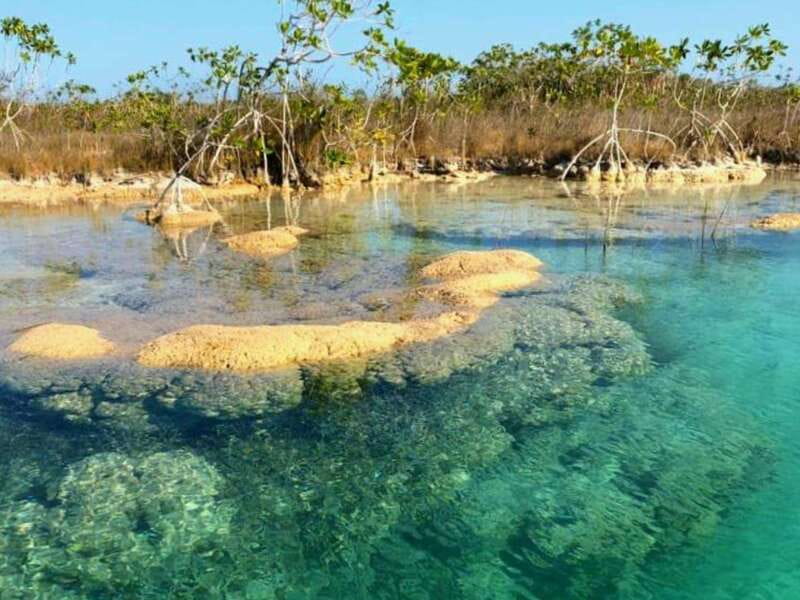Bacalar: Magnificent Bacalar Lagoon Exclusive Boat Tour - The cenote trio: Black, Emerald, and Cocalitos swimming stops